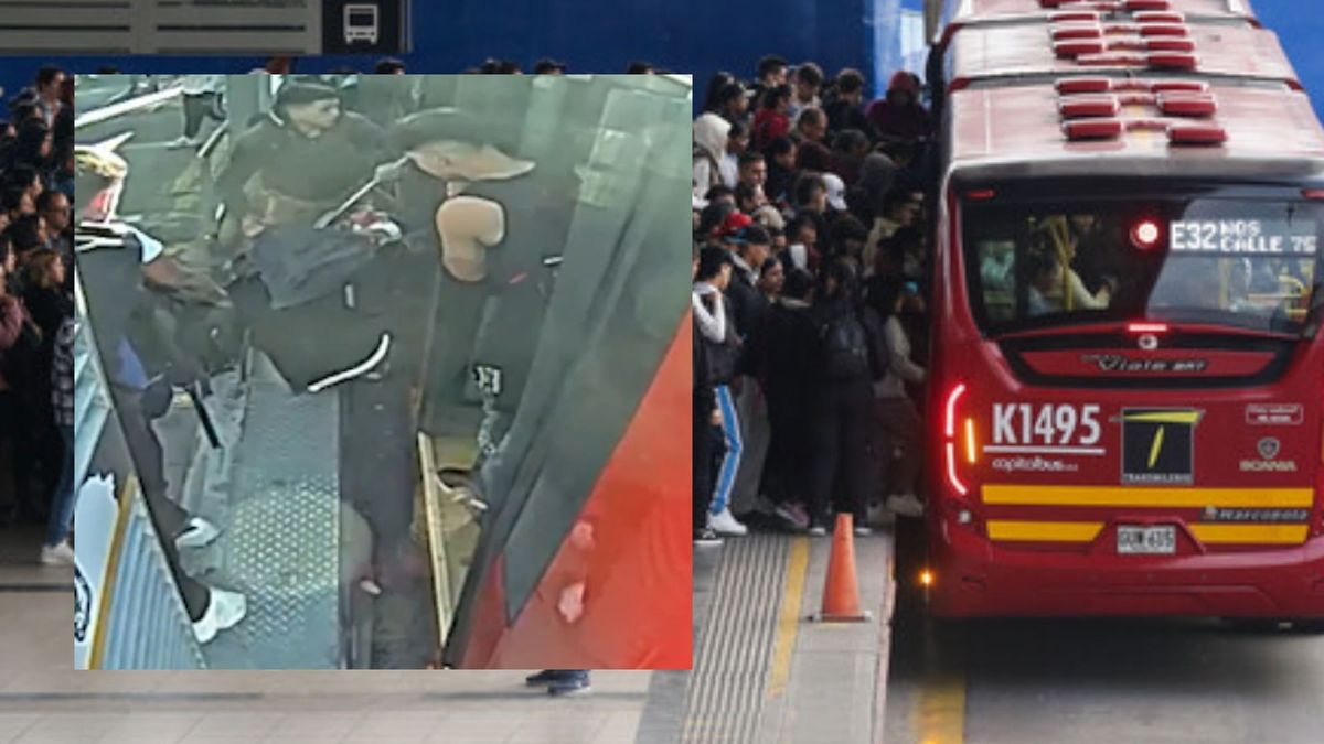 Guerra al “cosquilleo” en TransMilenio consejos clave para no quedarse sin celular