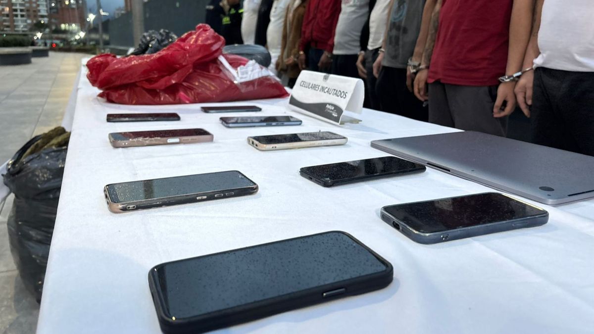 Celulares incautados por la Policía en un operativo