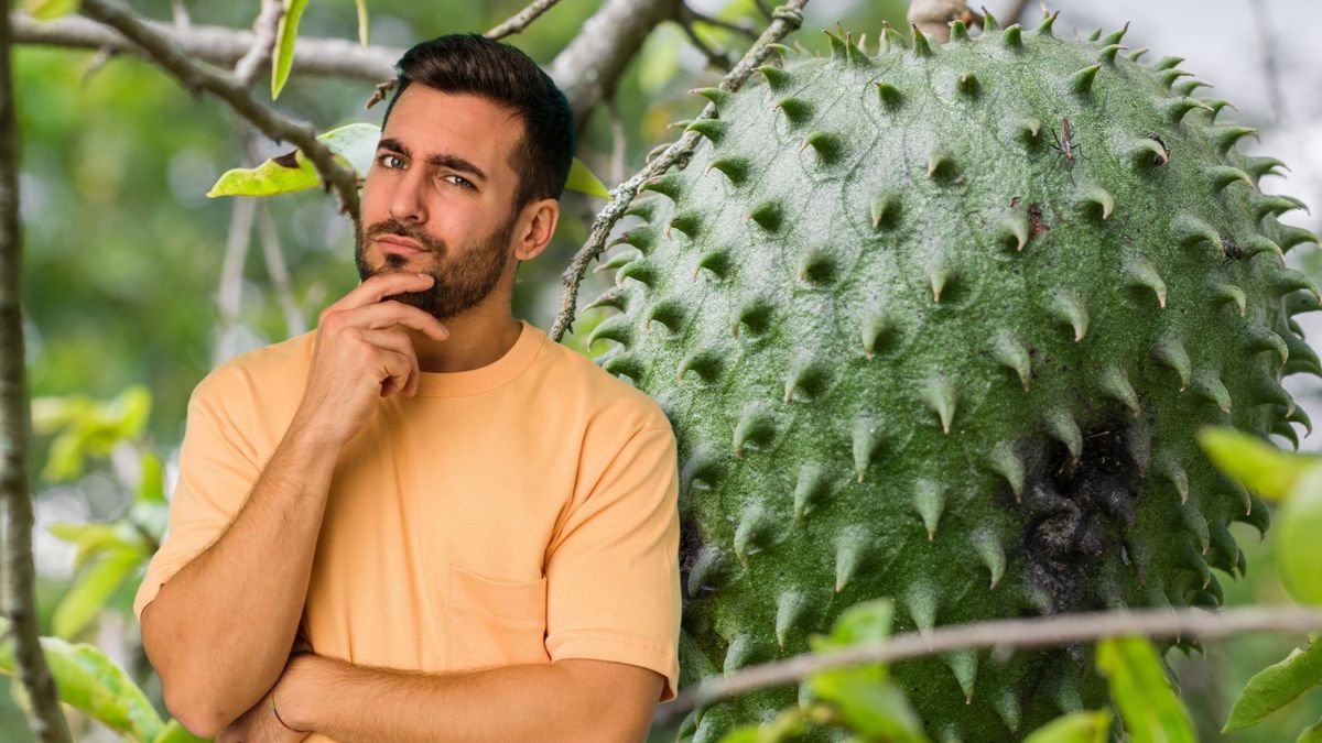 ¿Para qué sirven las hojas de guanábana y qué beneficios tienen?