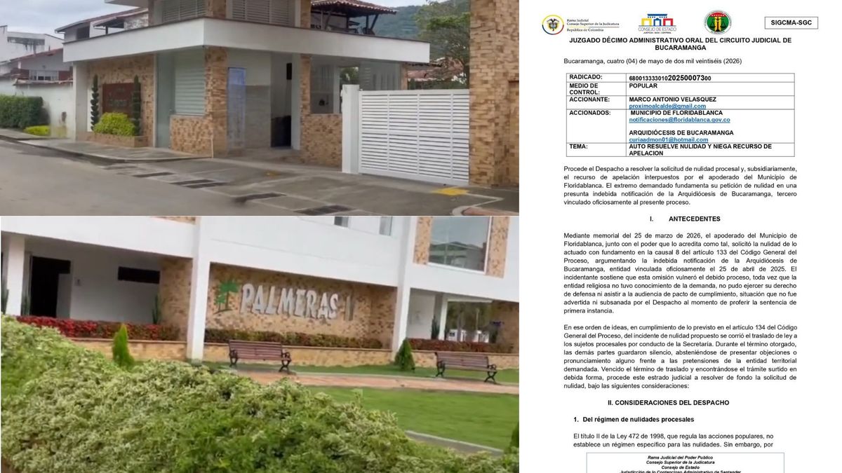 PALMERAS II