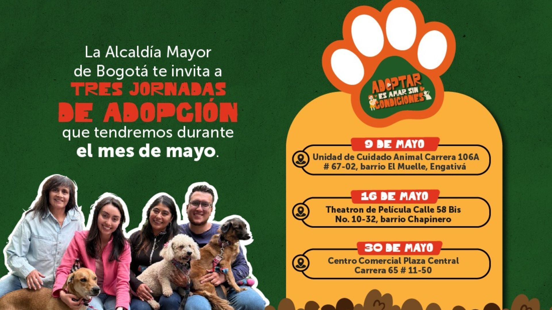 ¿Qué se necesita para adoptar una mascota en Bogotá?