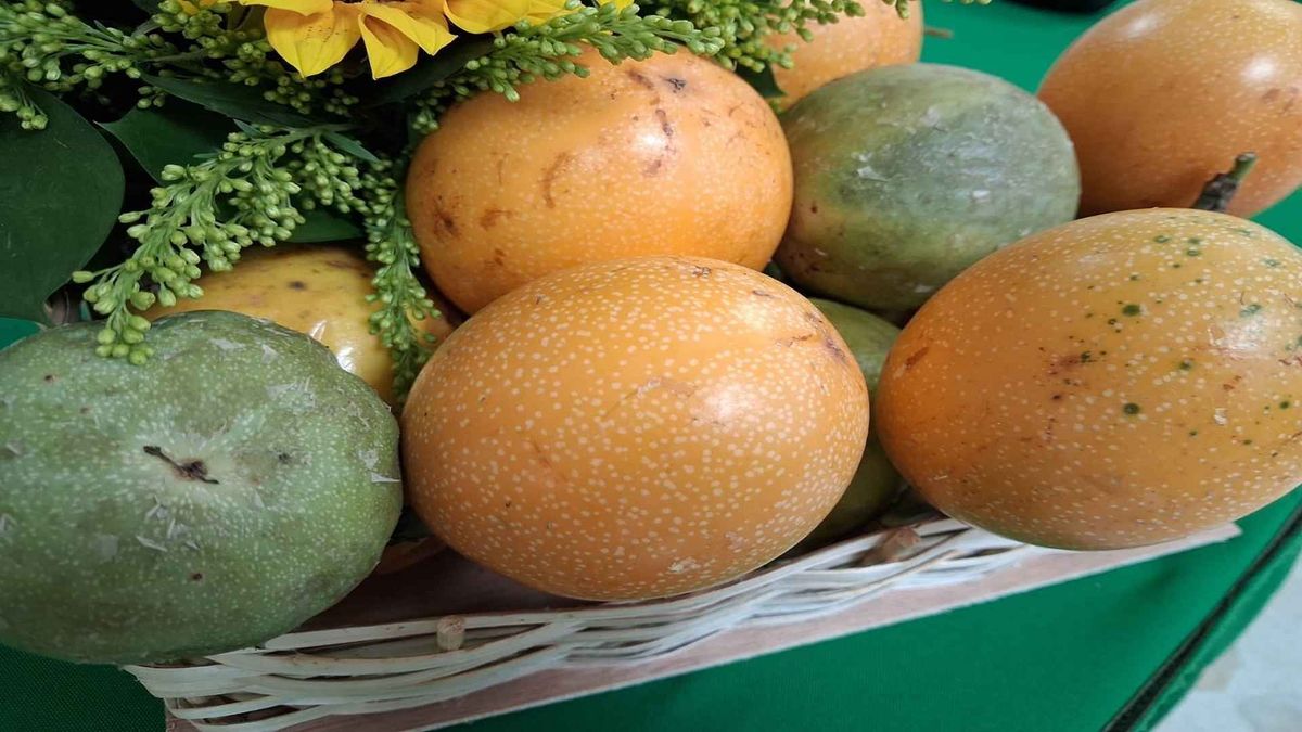 Frutas cultivadas en el Huila