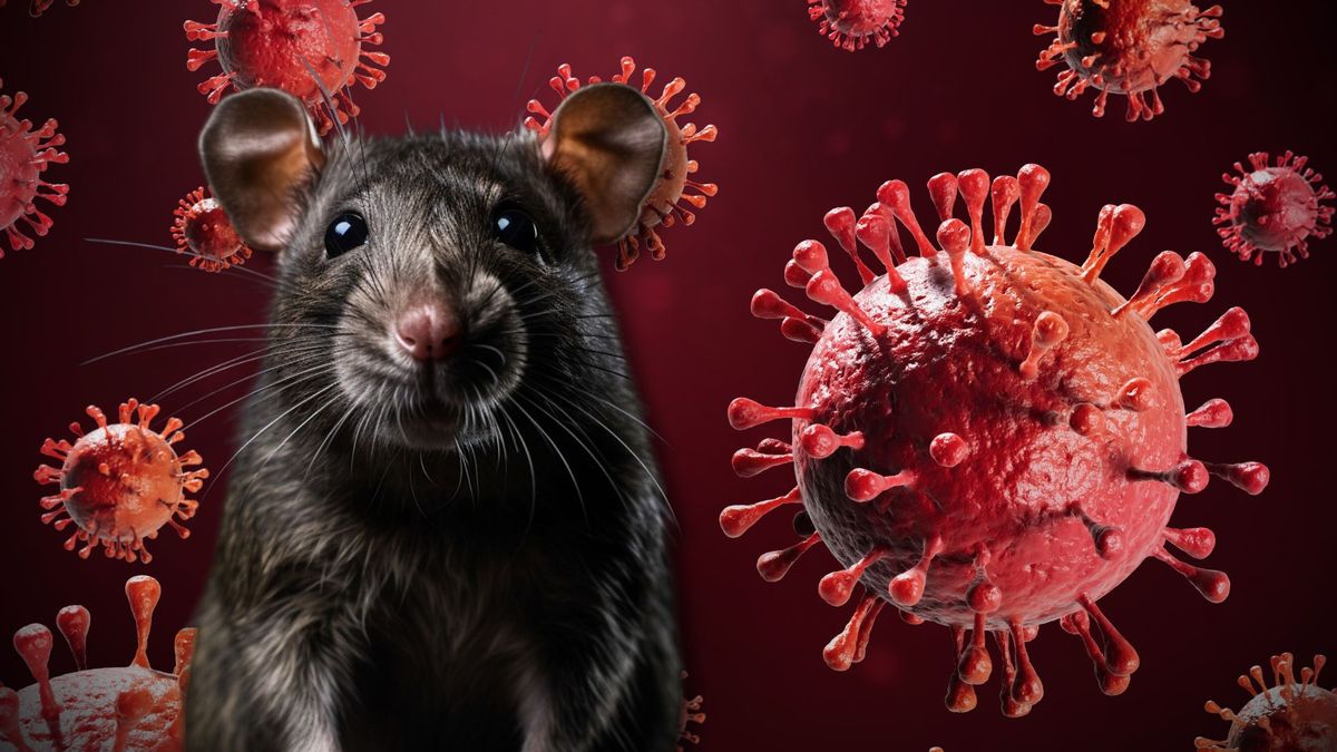 Hantavirus causa preocupación: síntomas y cuidados que pocos conocen