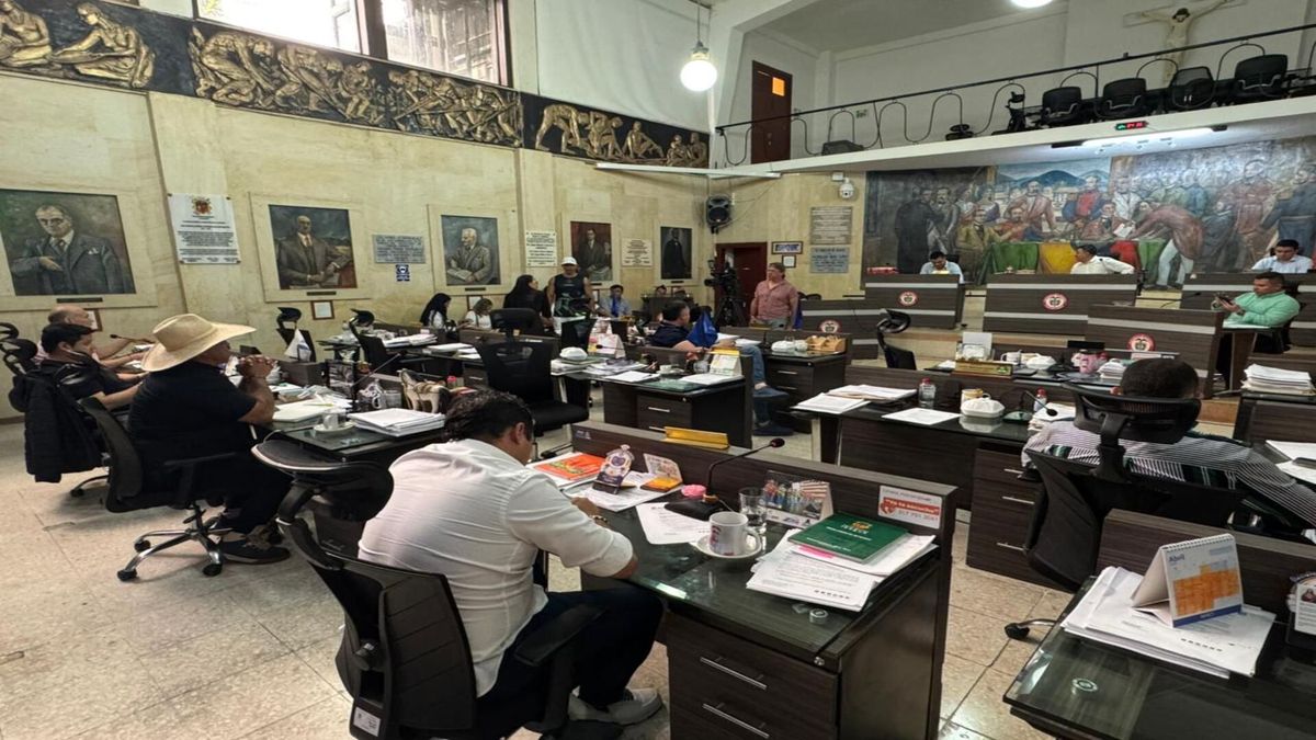 Concejo de Ibagué | Mensaje de Solidaridad | Homicidio Concejal | Mayo 2026