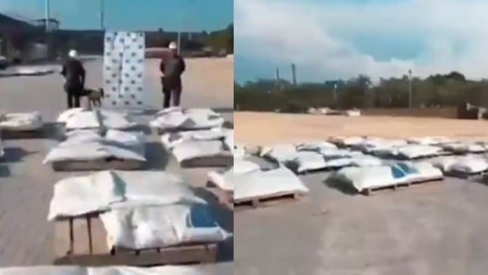 Incautación de Cocaína en el Puerto de Cartagena