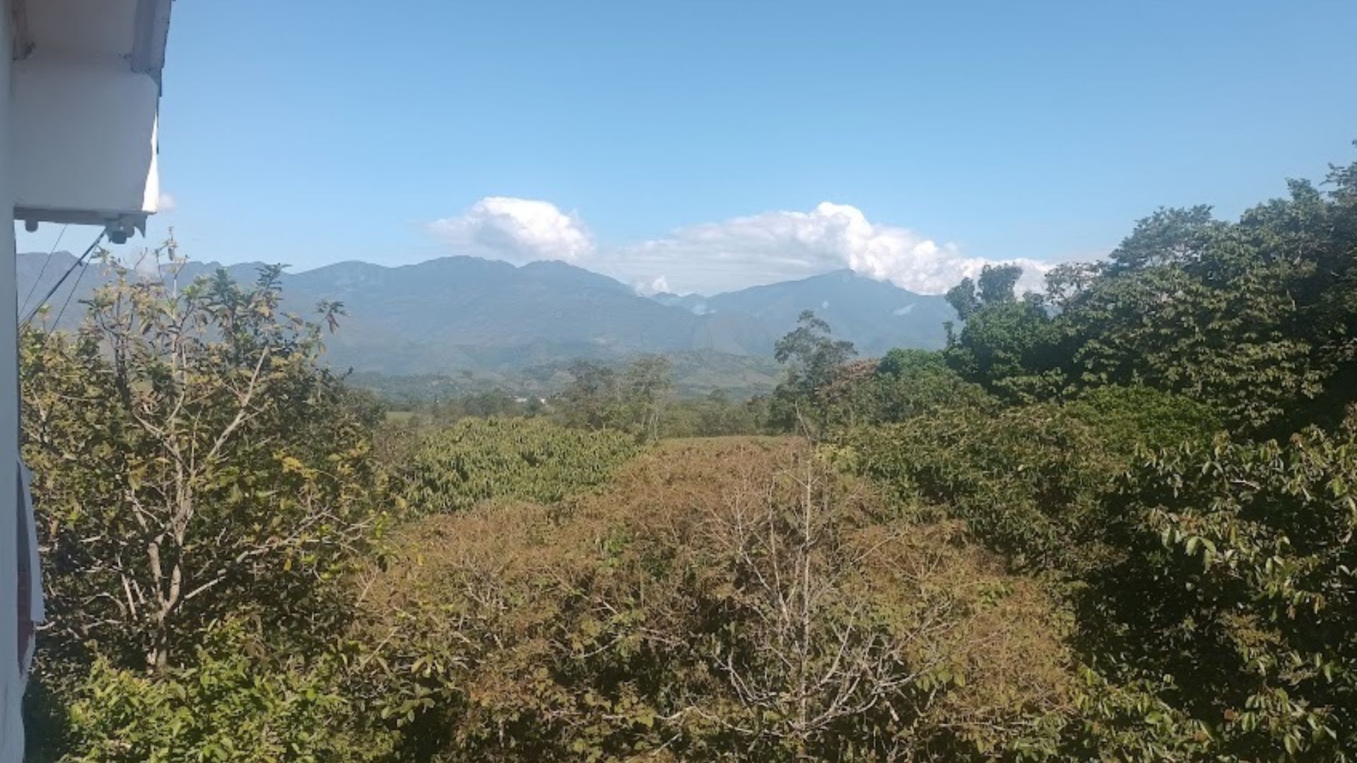 Finca del municipio de Guadalupe