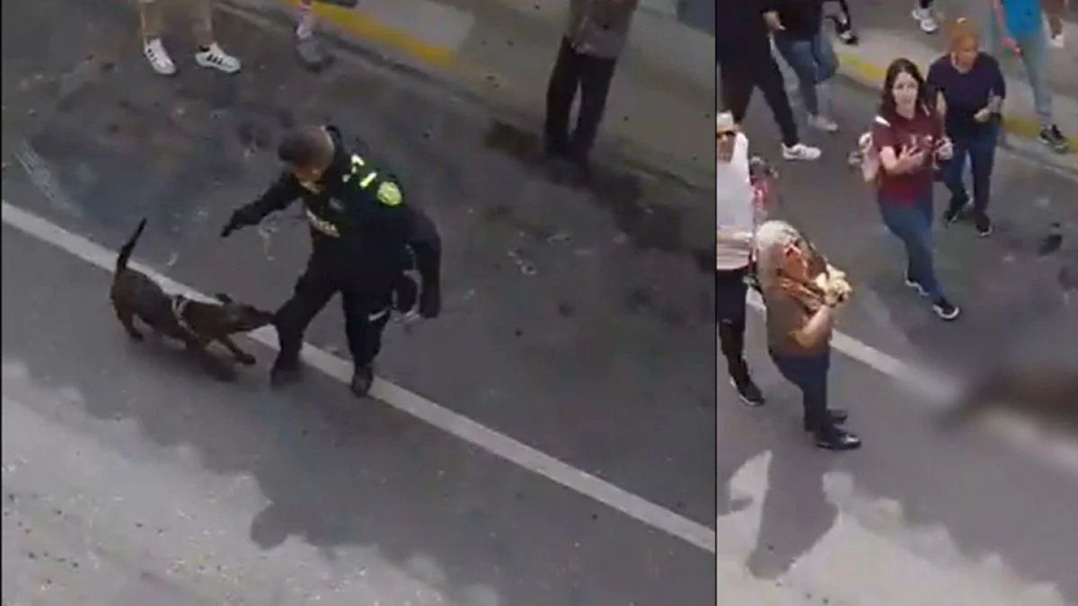 Personería de Rionegro investigará procedimiento policial por muerte de un perro en plena vía pública