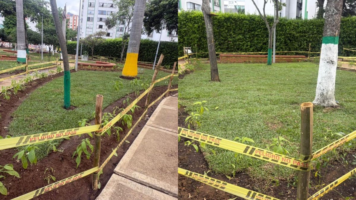 Reverdecimiento Parque de las Cigarras Bucaramanga