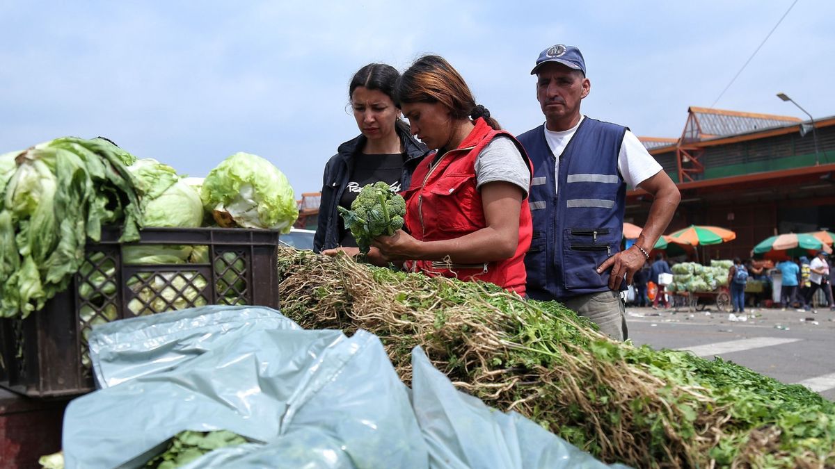 Comerciantes de Corabastos organizando sus productos