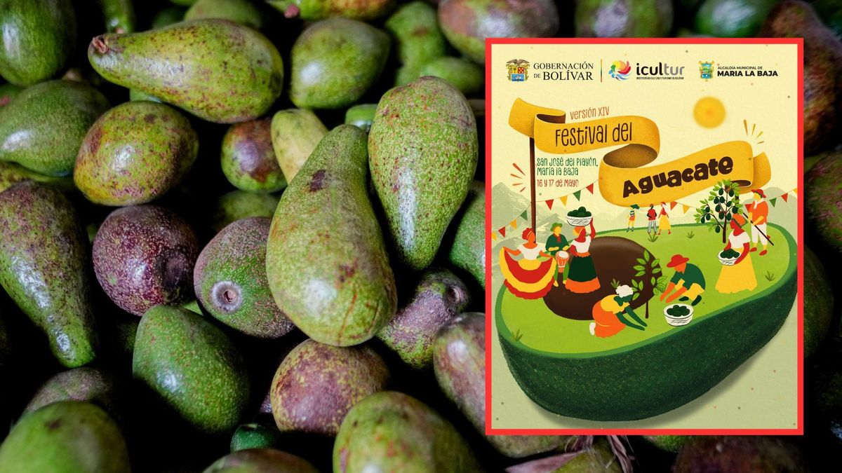Festival del Aguacate en Bolívar