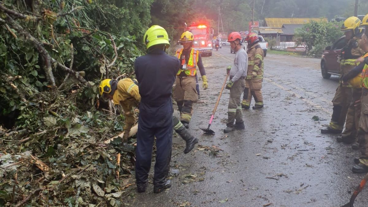 Organismos de socorro en el kilómetro 17 de la vía al mar en Cali