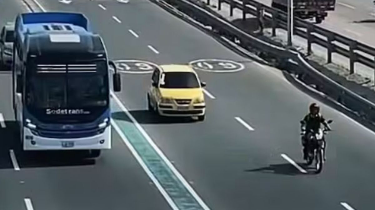 Buses nuevos