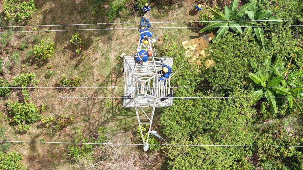 Trabajos energía Essa