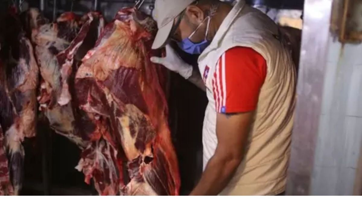 Altos precios de la carne de res en Risaralda