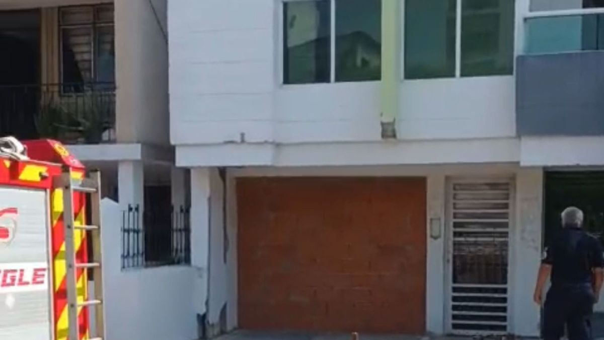 Ubicado en el barrio Alto Bosque