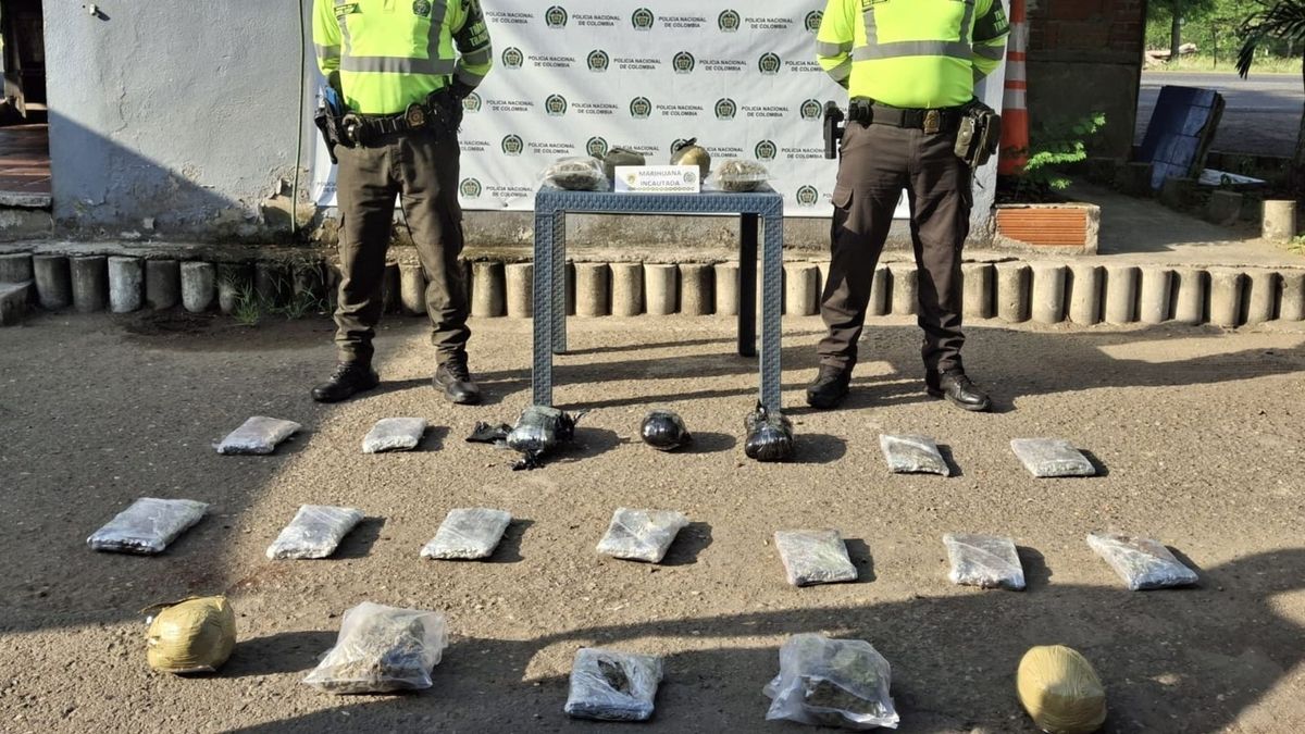 Incautan más de 20 mil dosis de marihuana en un peaje de Bolívar