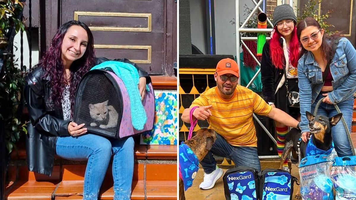Jornada de adopción de mascotas en Bogotá este 16 de mayo de 2026