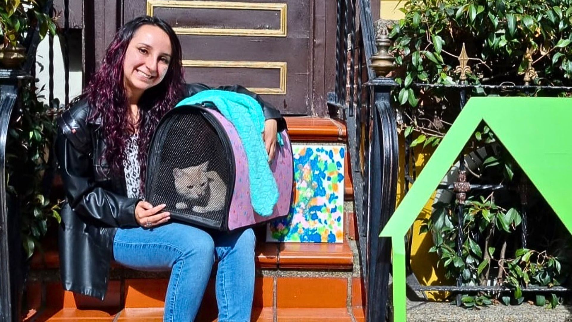 Jornada de adopción de mascotas en Bogotá este 16 de mayo de 2026