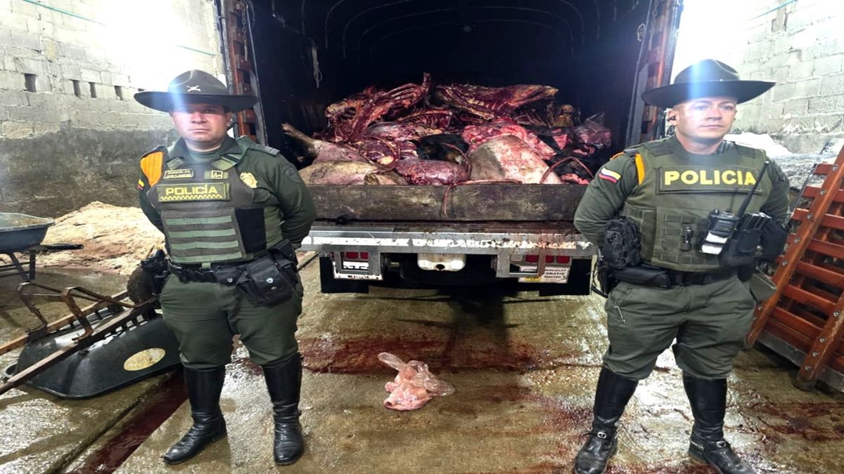 Carne de caballo en Donmatias