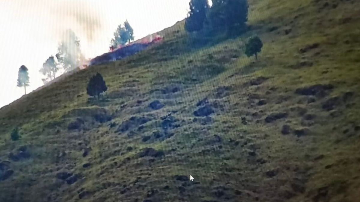Incendios forestales en el cerro Quitasol de Bello