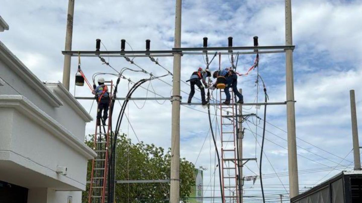 Técnicos de Afinia