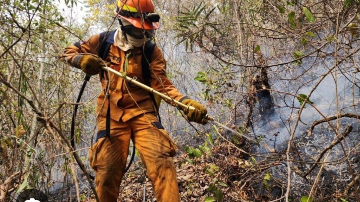 Organismo de socorro en alerta de incendios