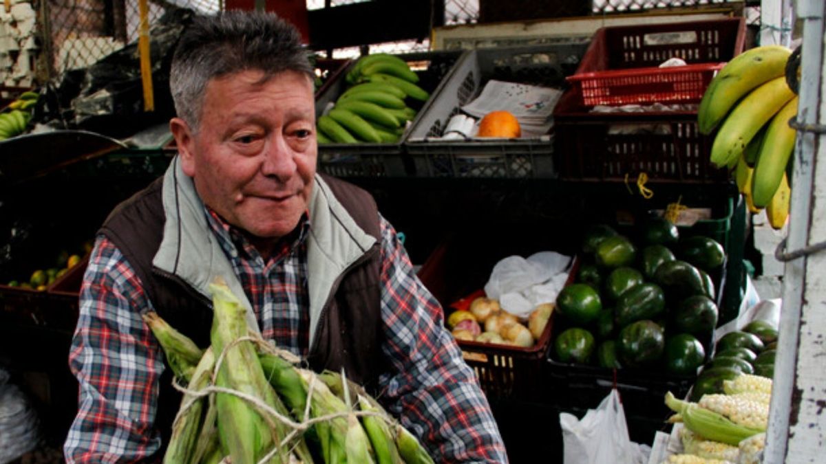 Corabastos 19 de mayo alimentos que más bajaron de precio