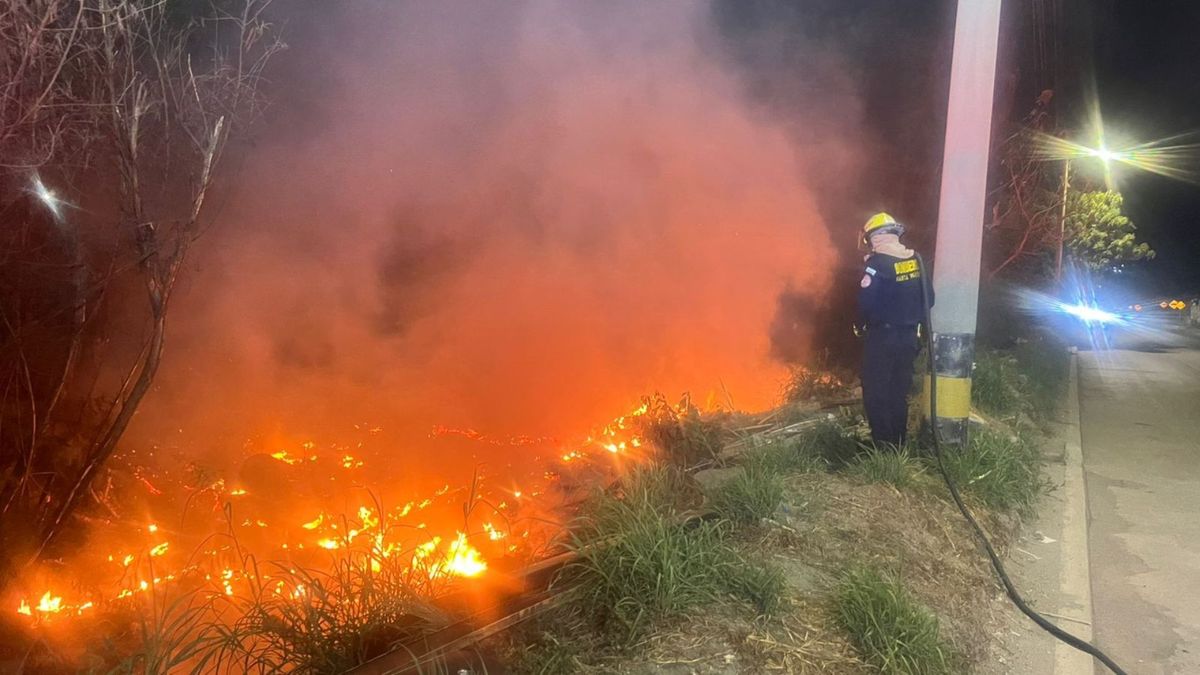 Riesgo de incendios forestales en Santa Marta por altas temperaturas