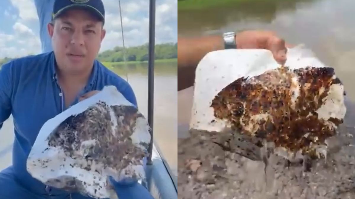 Contaminación con crudo en la ciénaga El Llanito de Barrancabermeja