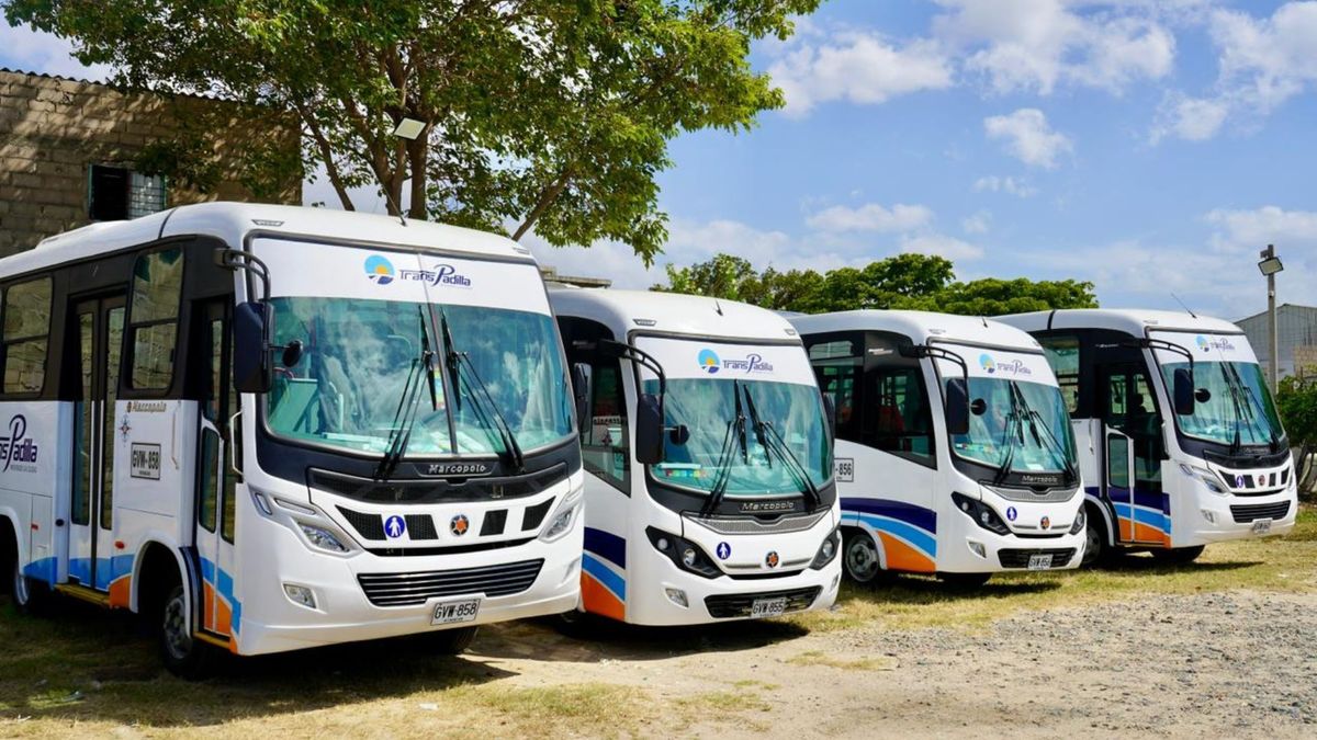 Transpadilla: nuevo servicio de transporte urbano que operará en Riohacha.