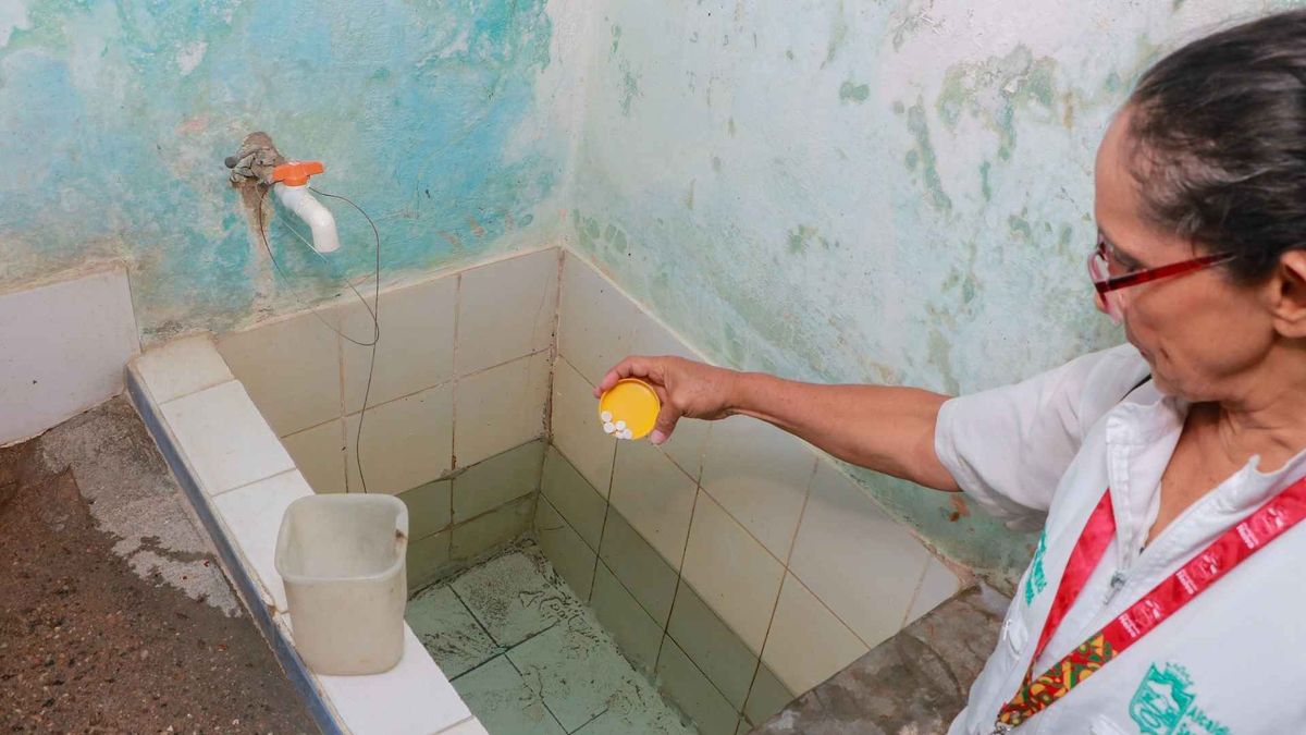 Dengue Neiva
