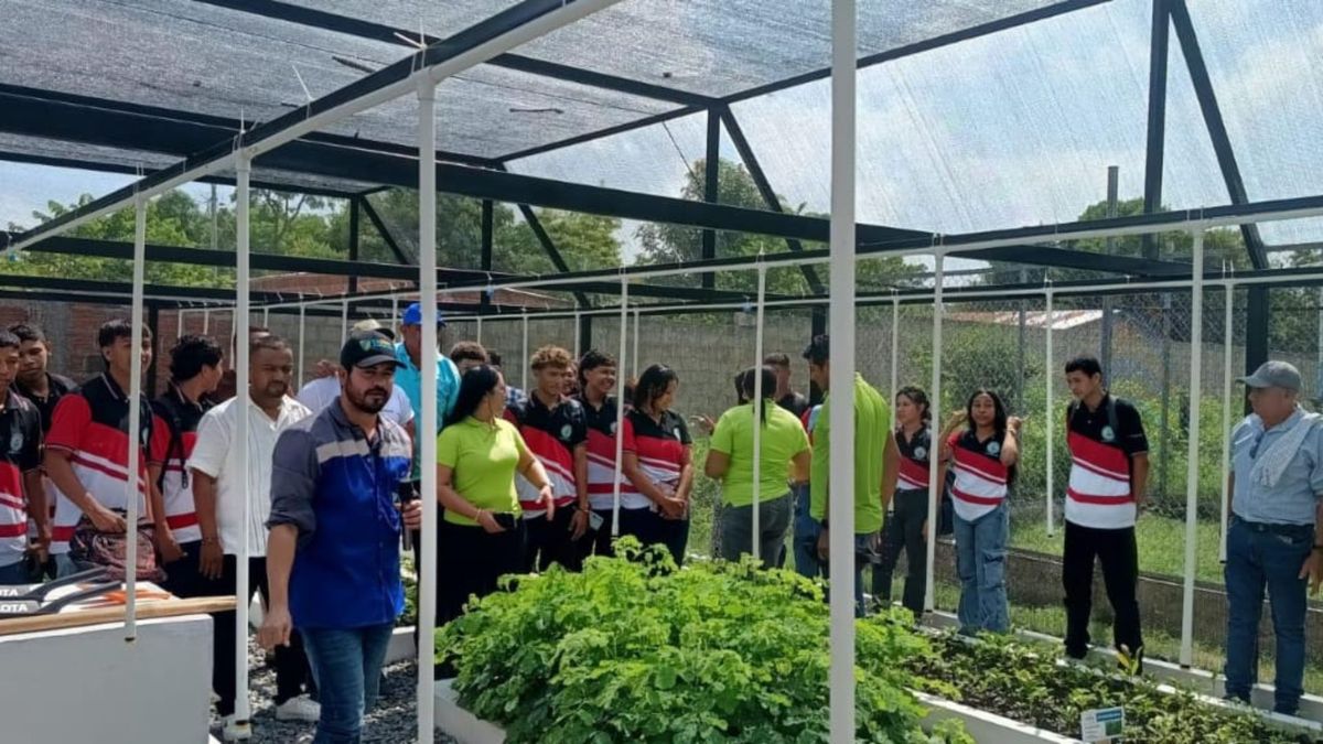 Viveros bioclimáticos en el Magdalena