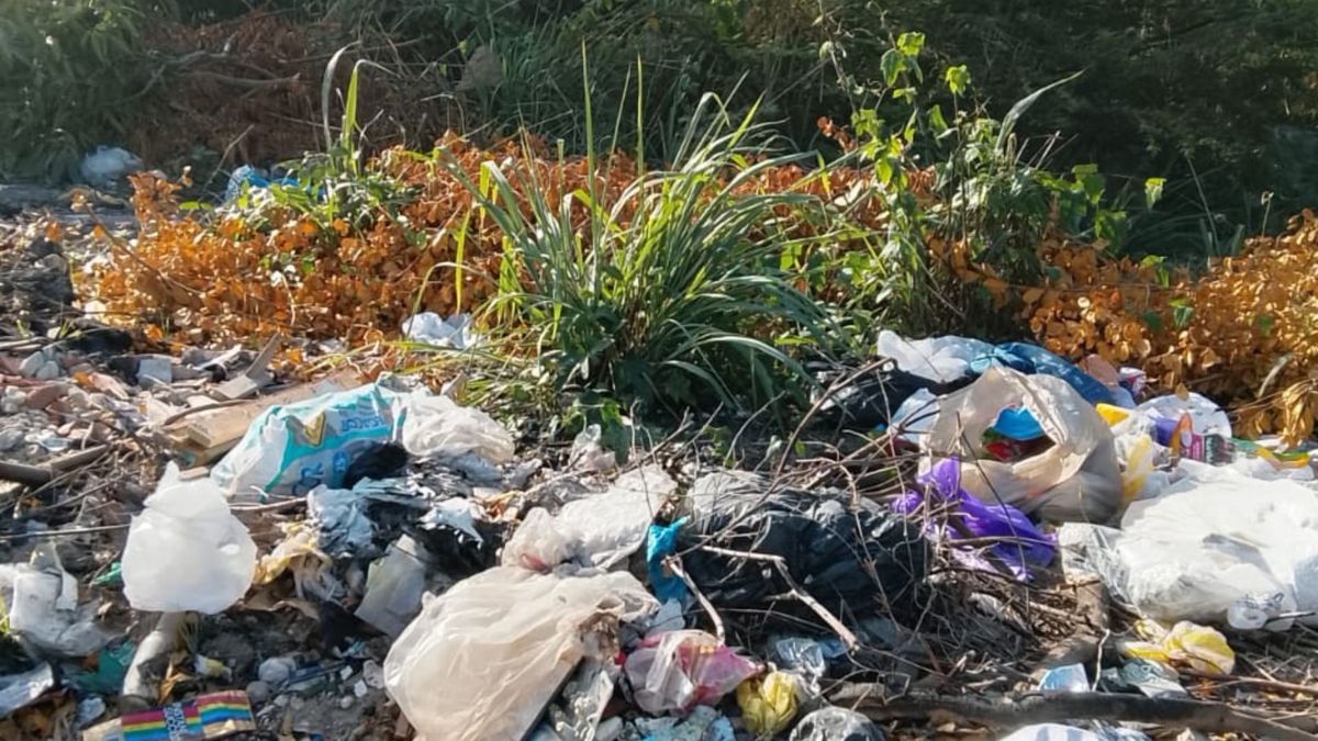 La canalización del arroyo se encuentra obstruida por un exceso de basura