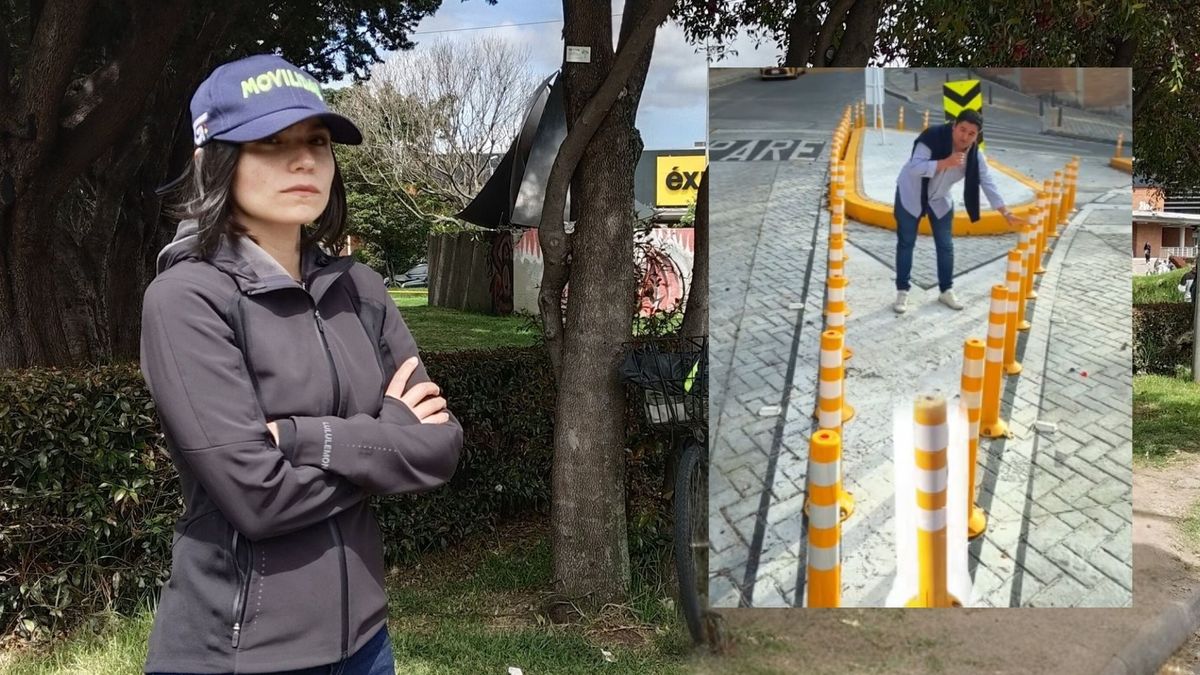 Movilidad sembró 42 postes en una esquina Es cerca de ganado