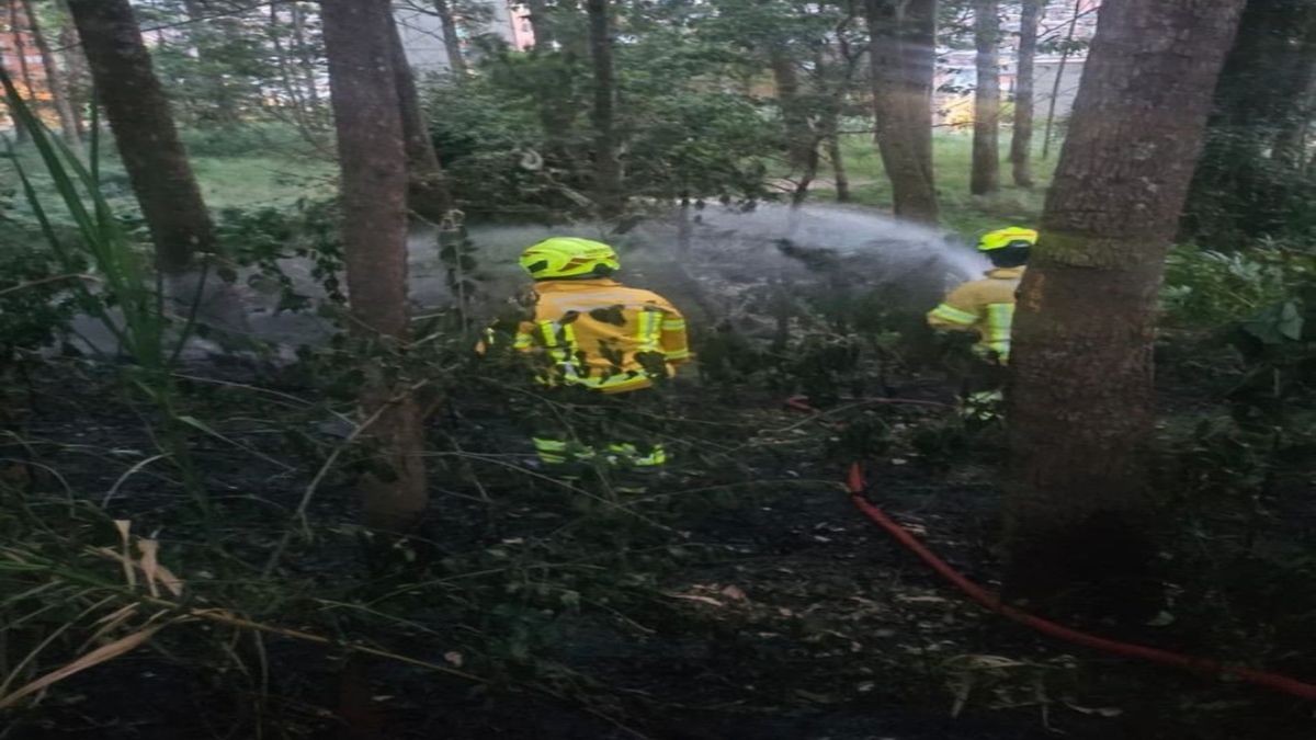 Bomberos de Medellín atienden un incendio que intentó reactivar un piromano