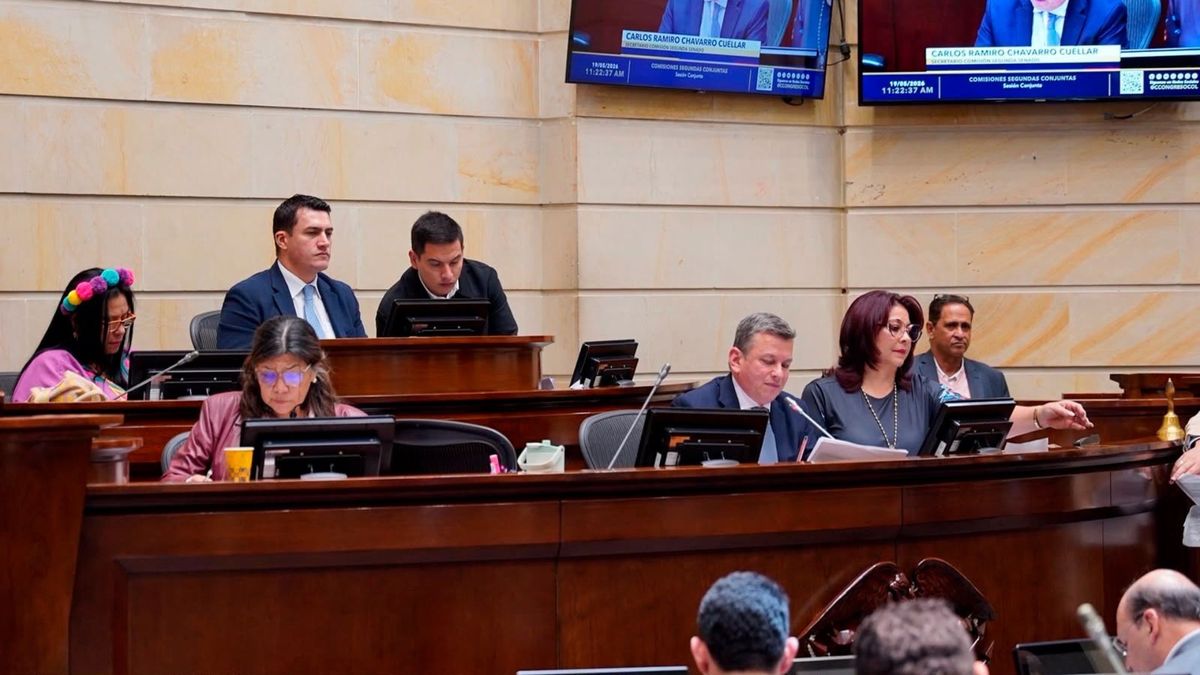 Congresistas 2026