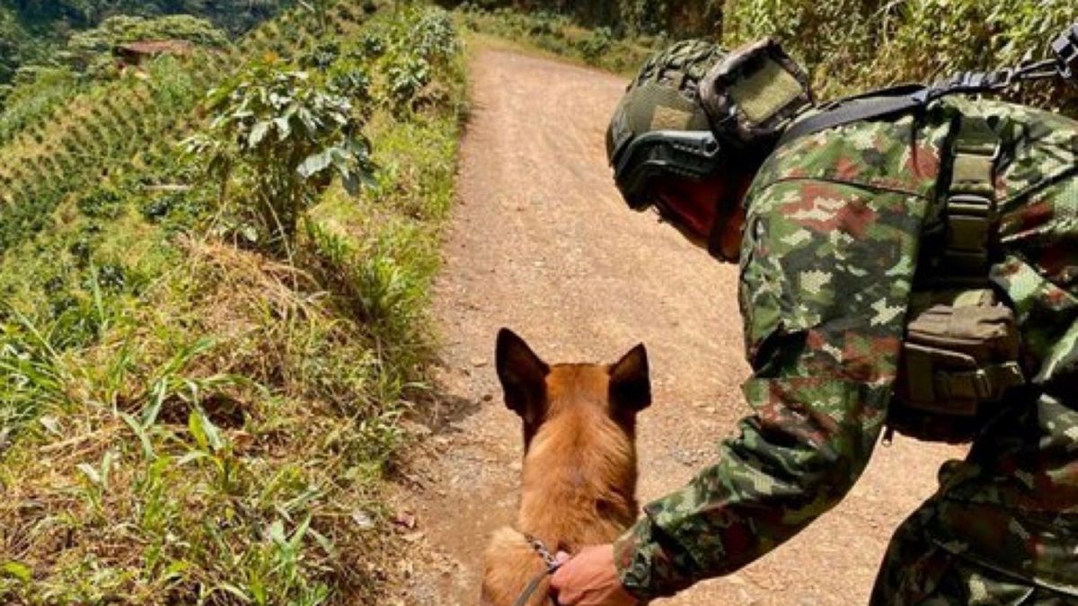 Artefacto explosivo Clan del Golfo.
