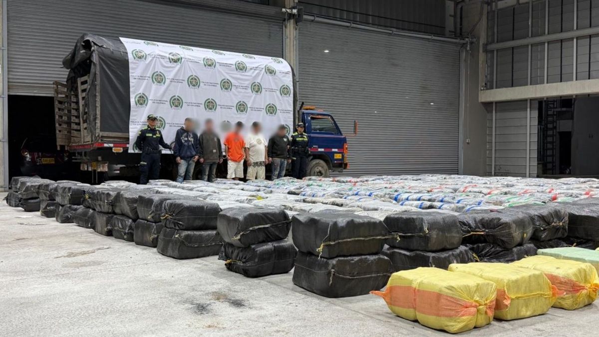 Millonario cargamento de “cilantro Salvaje”: Cinco toneladas de marihuana decomisadas en Medellín