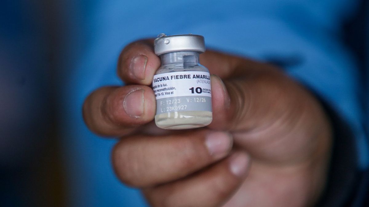 Vacuna contra la fiebre amarilla