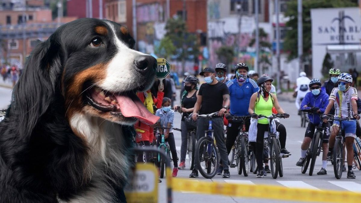 Ciclovía ahora también será para mascotas: así funcionarán los nuevos espacios