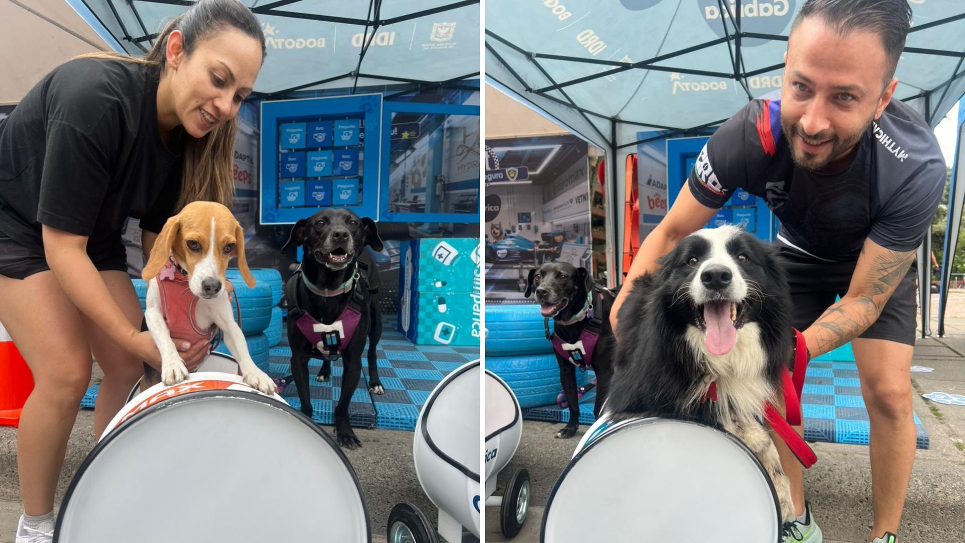 ¿Qué tendrán las estaciones para mascotas en la ciclovía de Bogotá?