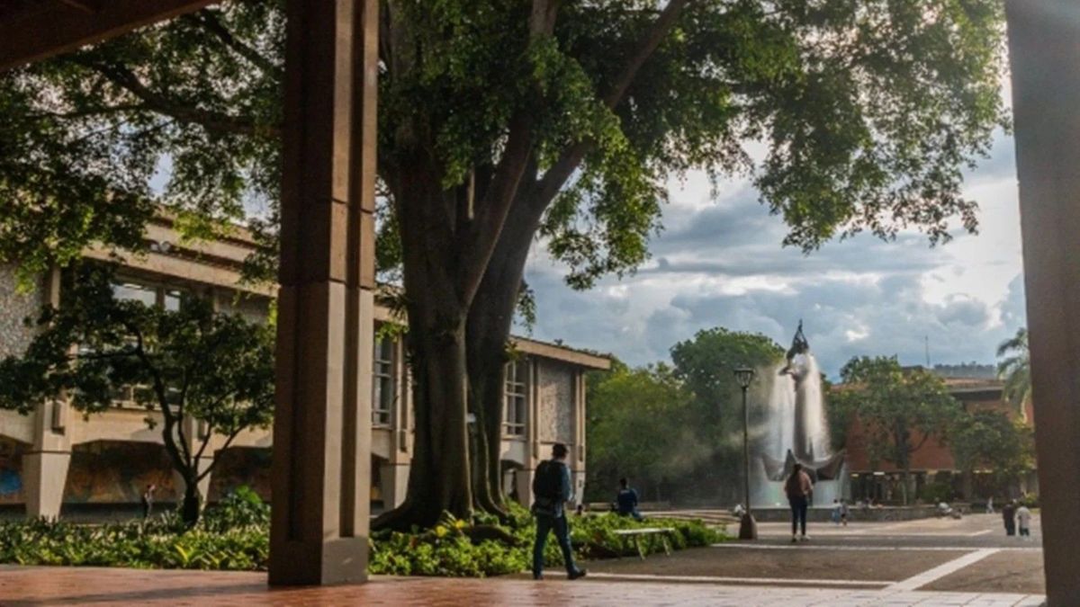 UdeA presenta elegiles para ocupar el cargo de rector