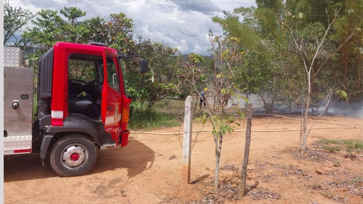 Los incendios forestales se incrementan con la temporada seca