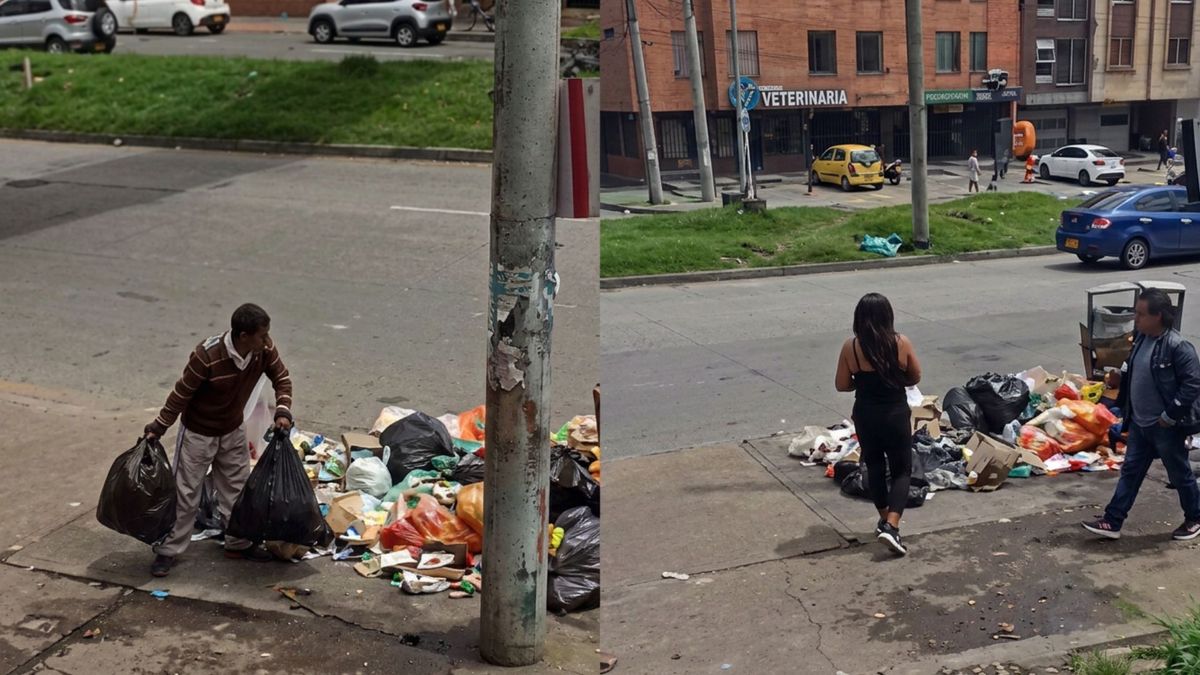 Multas de 32 salarios mínimos a cochinos por basura en Bogotá
