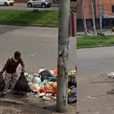 Multas de 32 salarios mínimos a cochinos por basura en Bogotá