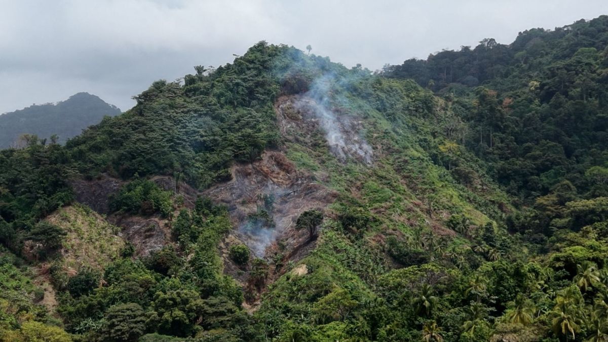 Incendios forestales en el Magdalena