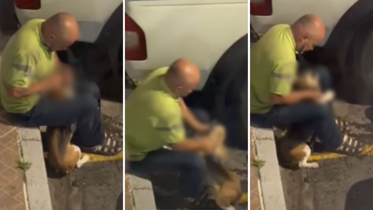 Video de hombre ahorcando a perro en Bosa causa rechazo