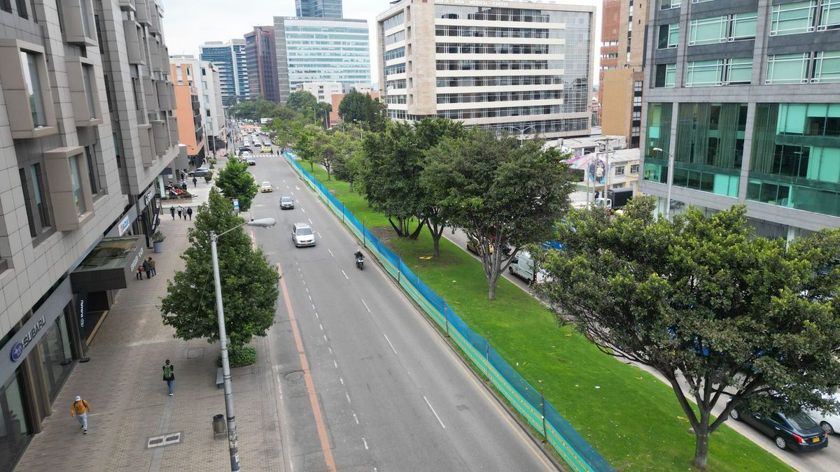 IDU responde por tala y anuncia 4.300 árboles nativos