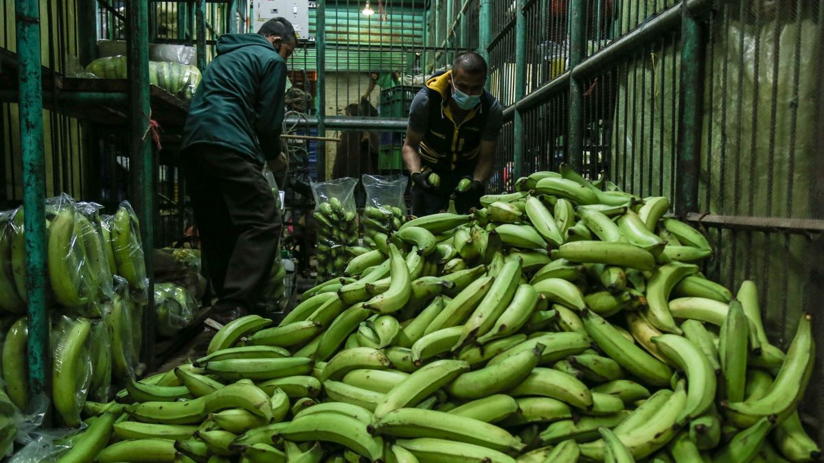Cargamento de plátano en Corabastos