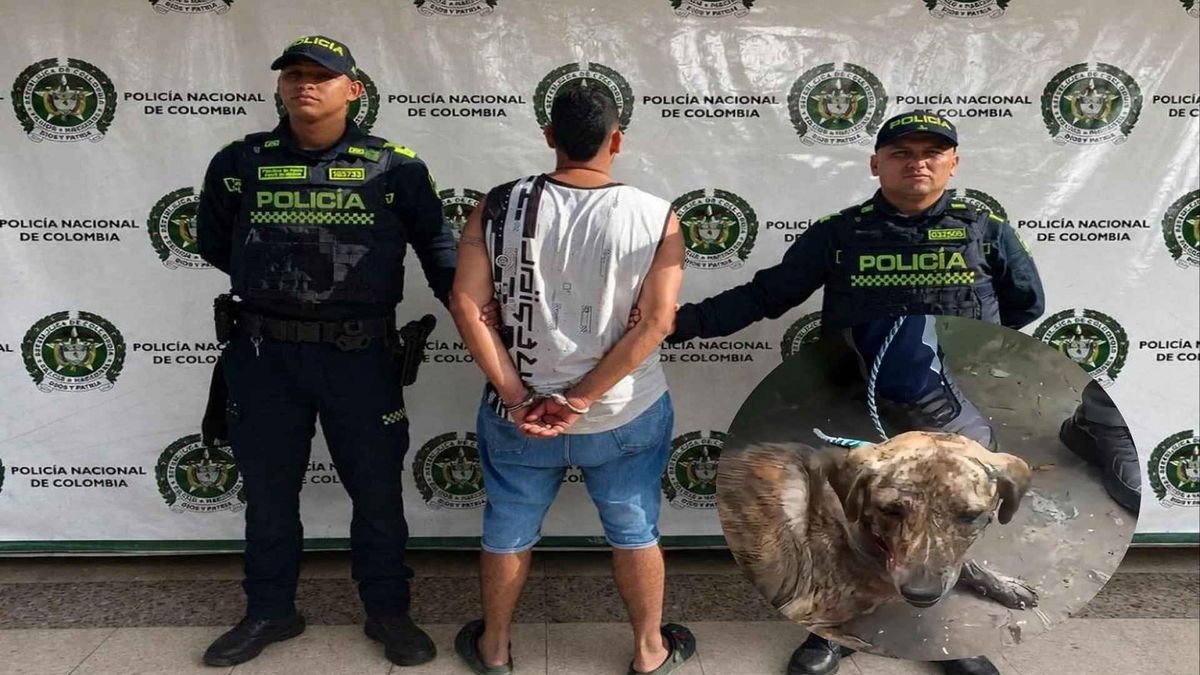 Captura maltrato animal Neiva